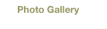 photo gallery